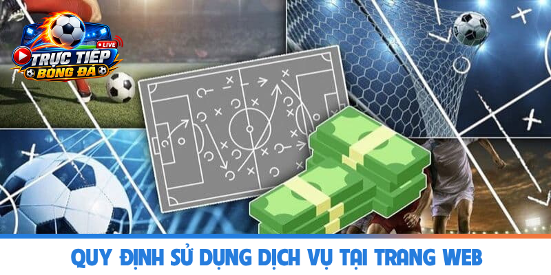 Quy định sử dụng dịch vụ tại trang web